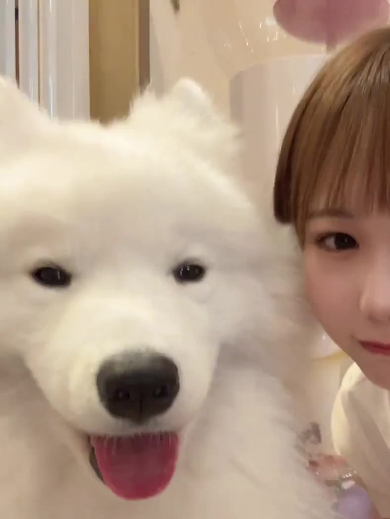 出勤🐶｜写メ日記｜かなの【経験極浅アイドル美女】｜新宿 一般デリヘル STELLA NEXT−ステラネクスト−