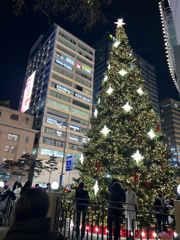 土日の出勤について✨｜写メ日記｜りの【ステラ待望の神乳】｜新宿 一般デリヘル STELLA NEXT−ステラネクスト−