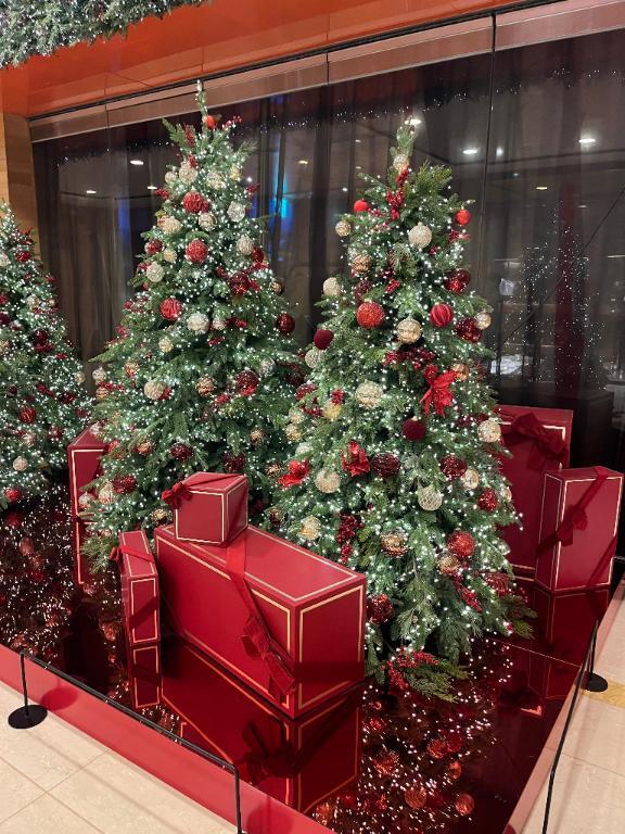 ラストまで😘｜写メ日記｜りの【ステラ待望の神乳】｜新宿 一般デリヘル STELLA NEXT−ステラネクスト−