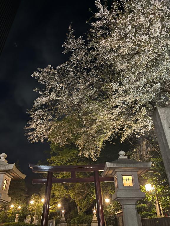 お知らせ🐶｜写メ日記｜りの【ステラ待望の神乳】｜新宿 一般デリヘル STELLA NEXT−ステラネクスト−