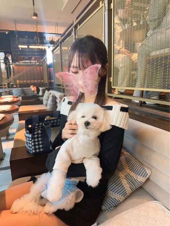 居るよん🧸｜写メ日記｜せりな【新垣〇衣似超カワ】｜新宿 一般デリヘル STELLA NEXT−ステラネクスト−