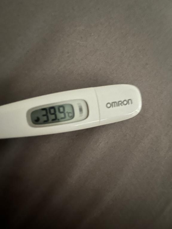 お休み頂きます｜写メ日記｜いくら【ロリカワGの破壊力】｜新宿 一般デリヘル STELLA NEXT−ステラネクスト−