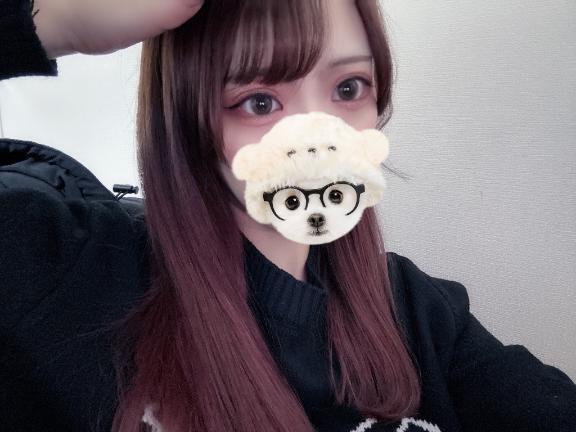 犬派？猫派？｜写メ日記｜なぎ【西〇七瀬似美女】｜新宿 一般デリヘル STELLA NEXT−ステラネクスト−