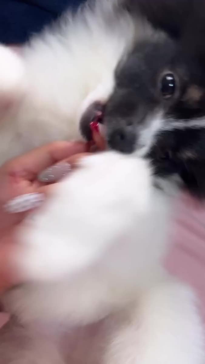 次回