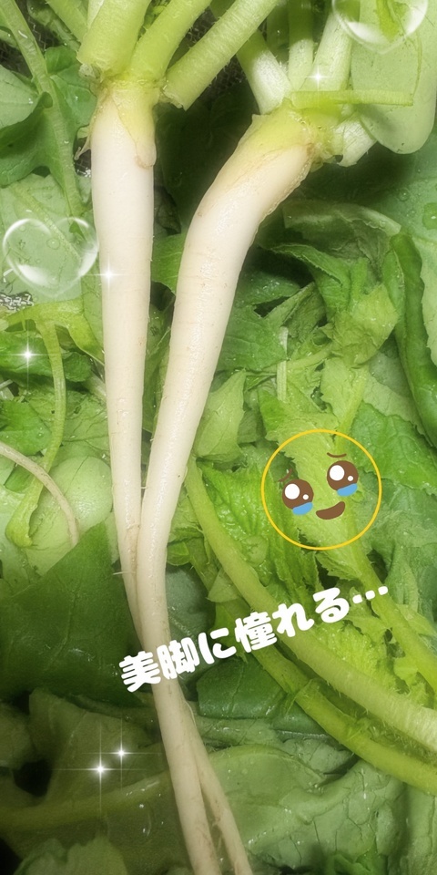 美脚への憧れ｜写メ日記｜ひびき｜品川・五反田 人妻デリヘル 性腺熟女100％（デリヘル市場グループ）