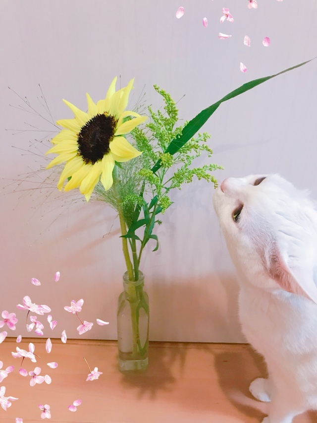 昨日は、、