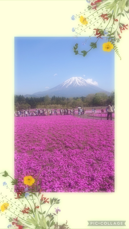 いつだって美味しいけど。｜写メ日記｜おとは｜品川・五反田 人妻デリヘル 性腺熟女100％（デリヘル市場グループ）