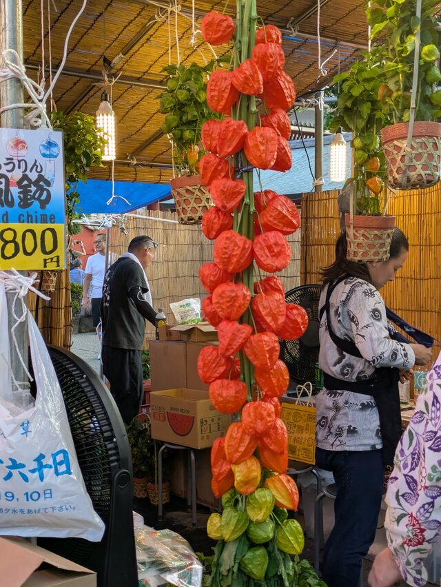 ホウズキ市｜写メ日記｜あきほ｜品川・五反田 人妻デリヘル 性腺熟女100％（デリヘル市場グループ）