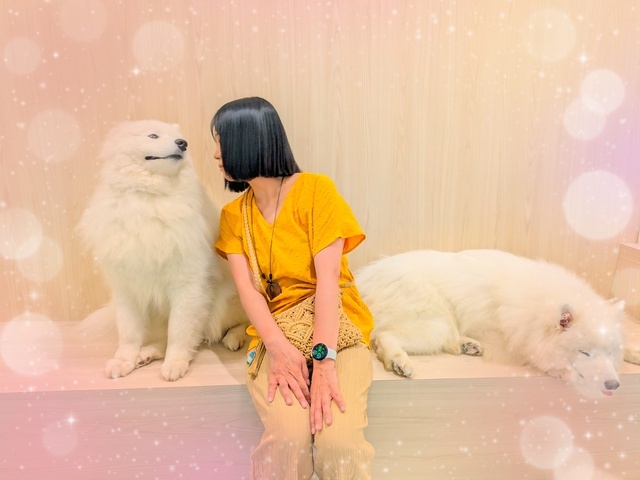 もふもふワンコと幸せ｜写メ日記｜あきほ｜品川・五反田 人妻デリヘル 性腺熟女100％（デリヘル市場グループ）