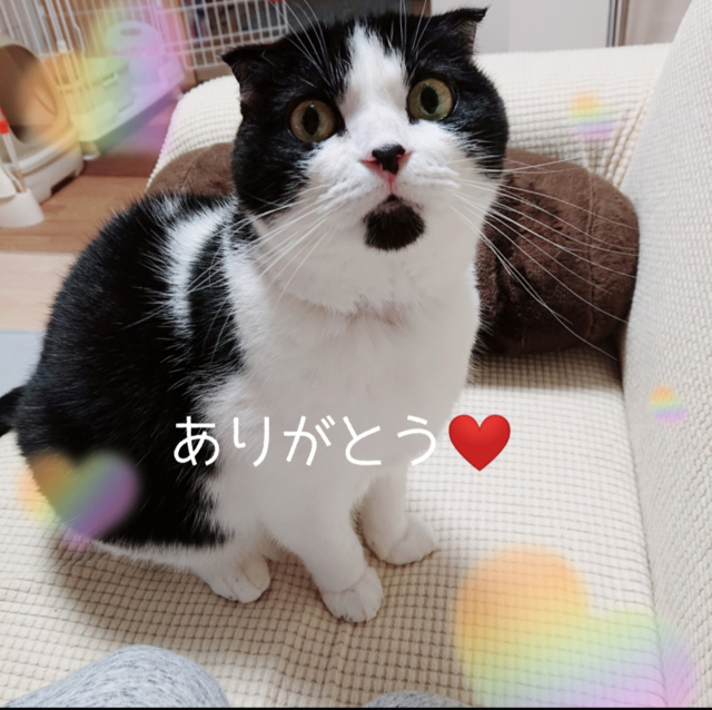 御予約♡｜写メ日記｜ちひろ｜品川・五反田 人妻デリヘル 性腺熟女100％（デリヘル市場グループ）