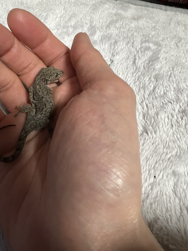 かわいいお客様｜写メ日記｜みつる｜品川・五反田 人妻デリヘル 性腺熟女100％（デリヘル市場グループ）