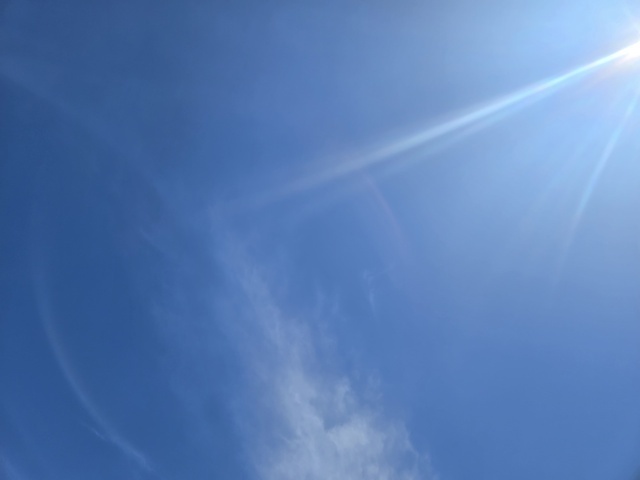 こんにちは♪