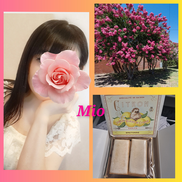 みお、　昨夜のお礼❤&本日のご予約❤｜写メ日記｜みお｜品川・五反田 人妻デリヘル 性腺熟女100％（デリヘル市場グループ）