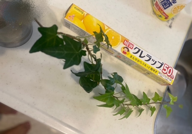 ❤️お礼です｜写メ日記｜みさ｜品川・五反田 人妻デリヘル 性腺熟女100％（デリヘル市場グループ）