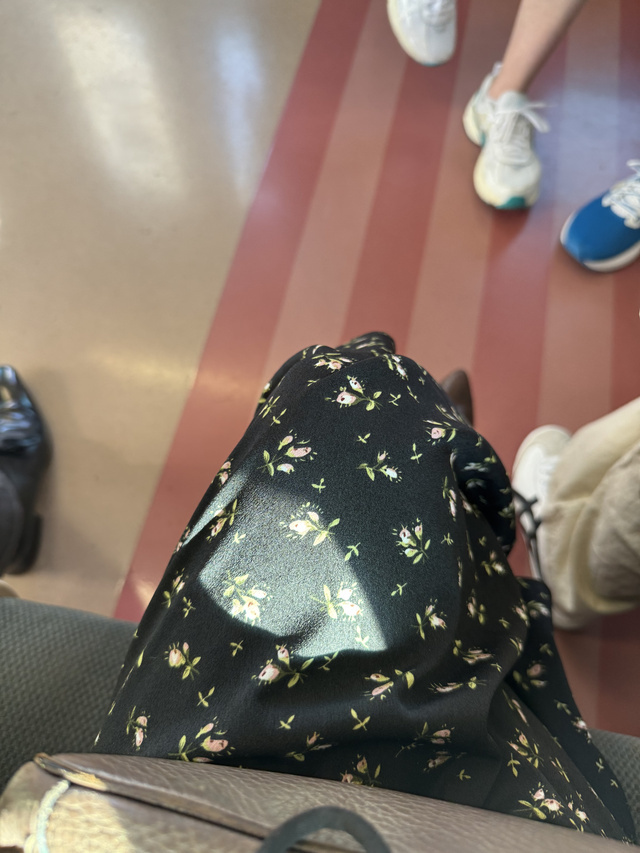 電車で移動中です｜写メ日記｜えり｜品川・五反田 人妻デリヘル 性腺熟女100％（デリヘル市場グループ）