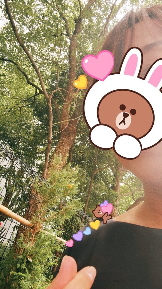 ♥︎お久し振りです！♥︎｜写メ日記｜さき｜品川・五反田 人妻デリヘル 性腺熟女100％（デリヘル市場グループ）