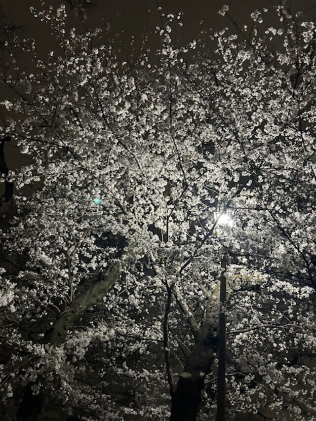 遅くなりましたが