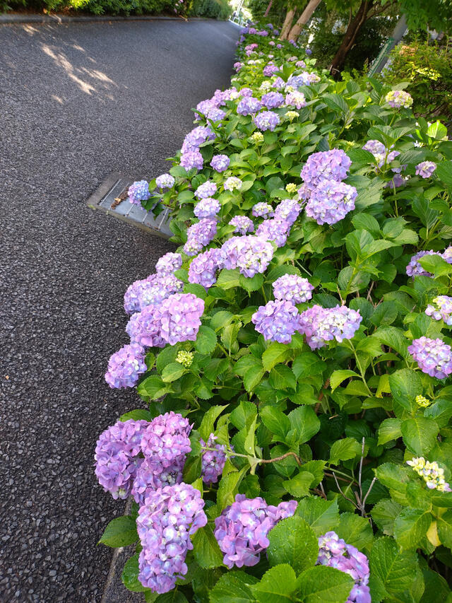 T様🍀