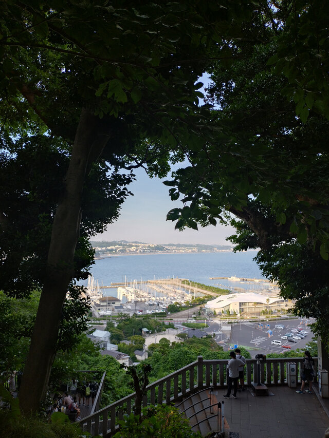 T様🍀｜写メ日記｜かほ｜品川・五反田 人妻デリヘル 性腺熟女100％（デリヘル市場グループ）