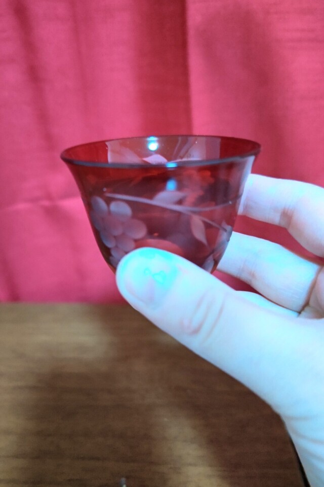 本日のありがとう♥️｜写メ日記｜ふじこ｜品川・五反田 人妻デリヘル 性腺熟女100％（デリヘル市場グループ）