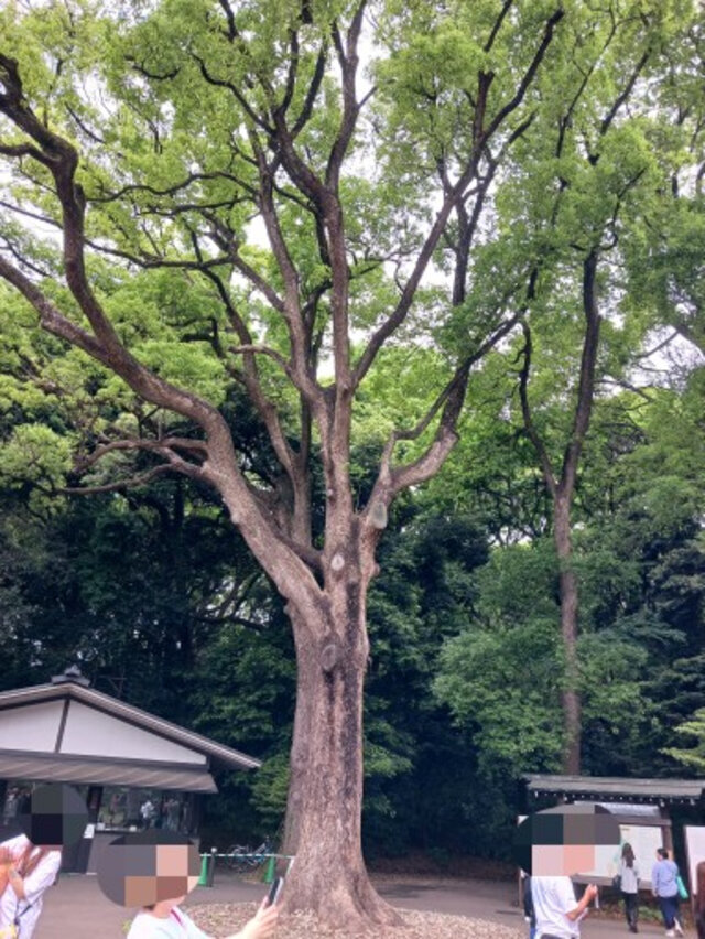 明日　16時00分｜写メ日記｜うの｜品川・五反田 人妻デリヘル 性腺熟女100％（デリヘル市場グループ）