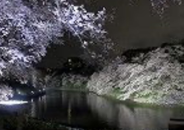 今日のお礼｜写メ日記｜なぎさ｜品川・五反田 人妻デリヘル 性腺熟女100％（デリヘル市場グループ）