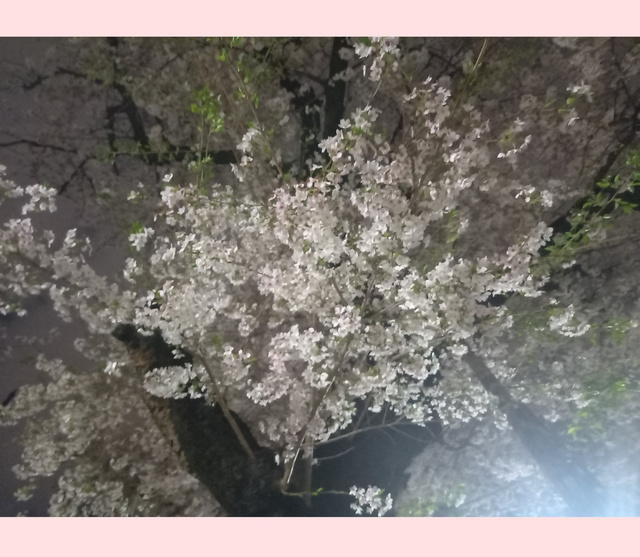 昨日のお礼♡