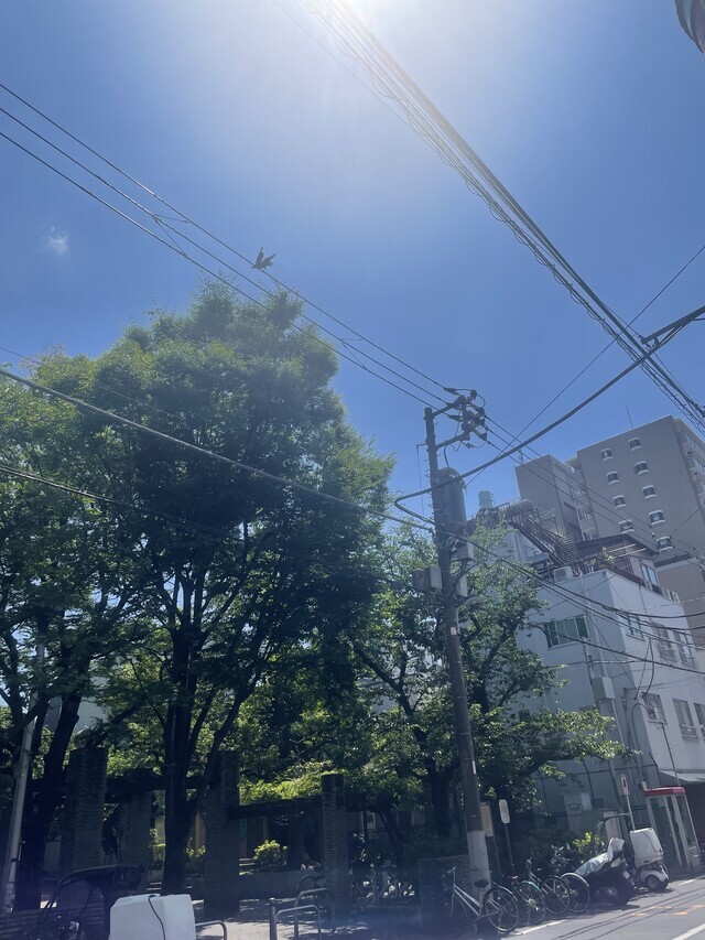 あつい😭｜写メ日記｜なぎ｜鶯谷 人妻デリヘル ふうりん～風鈴～