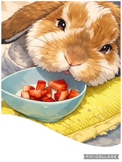 極寒だった水曜日