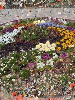 春まであと一歩｜写メ日記｜あや｜鶯谷 人妻デリヘル ふうりん～風鈴～