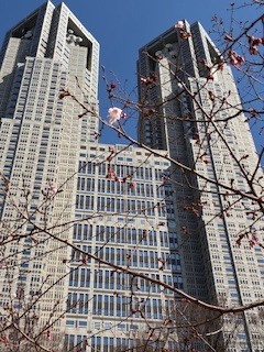 桜一輪🌸｜写メ日記｜あや｜鶯谷 人妻デリヘル ふうりん～風鈴～