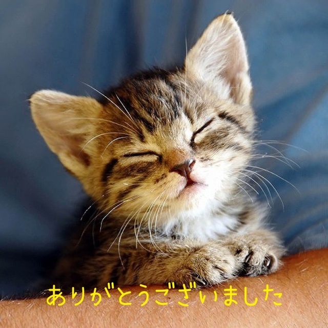 お礼です｜写メ日記｜ひろ｜鶯谷 人妻デリヘル ふうりん～風鈴～