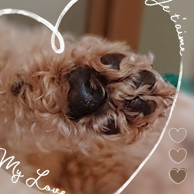 台風❓⚡🌀☔｜写メ日記｜まみこ｜鶯谷 人妻デリヘル ふうりん～風鈴～