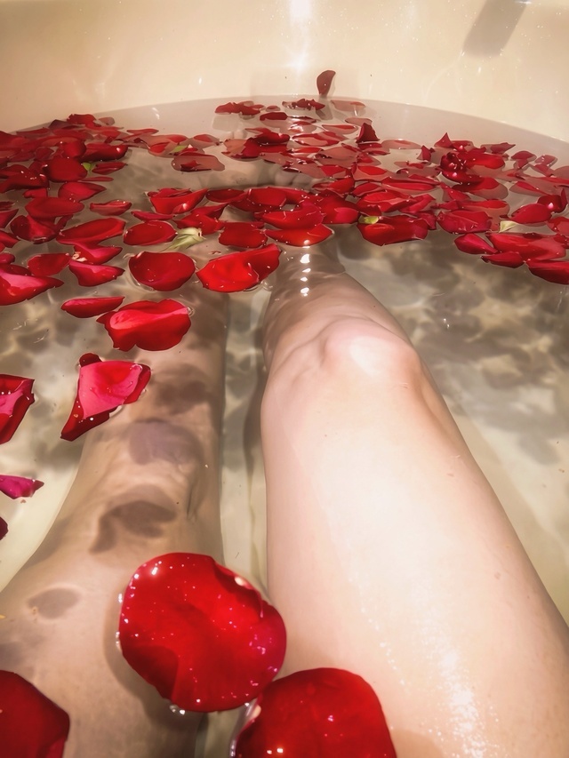 おはようございます🌹