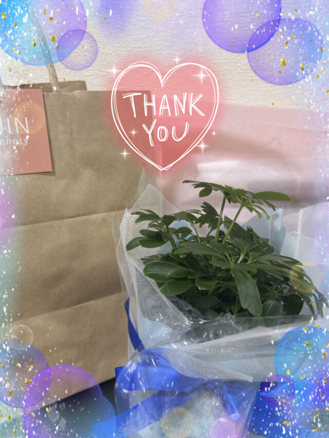 ありがとうございました💚🌱💚