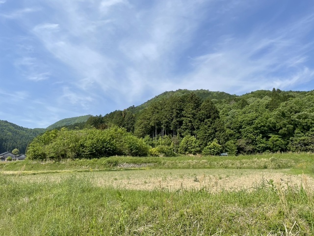 癒やされた〜🫠