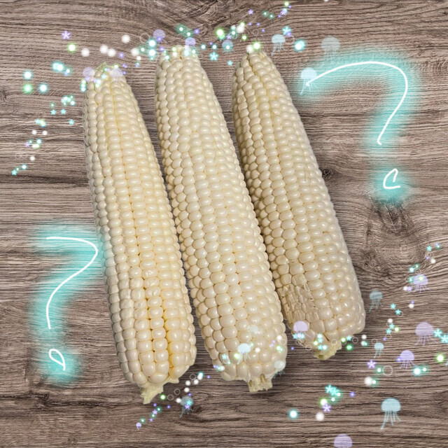 びっくりした😳｜写メ日記｜るい｜鶯谷 人妻デリヘル ふうりん～風鈴～
