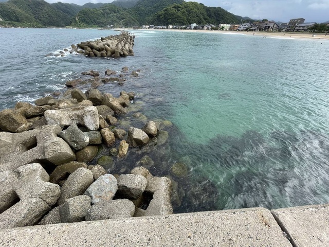 出勤します😀｜写メ日記｜るい｜鶯谷 人妻デリヘル ふうりん～風鈴～