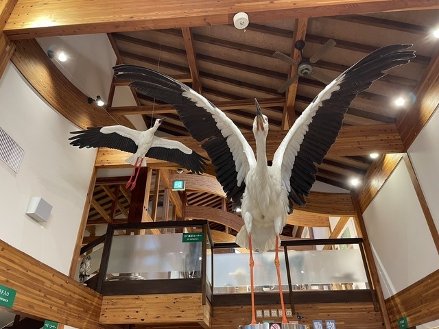 あれ？もう9月が終わる？🫣｜写メ日記｜るい｜鶯谷 人妻デリヘル ふうりん～風鈴～