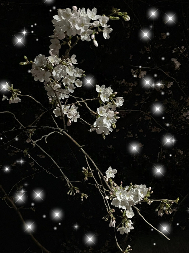 雨だわ〜☔｜写メ日記｜るい｜鶯谷 人妻デリヘル ふうりん～風鈴～