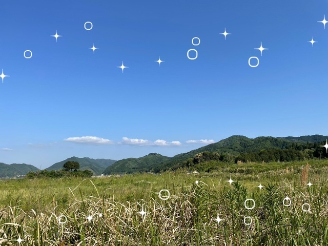 お久しぶりです🤗｜写メ日記｜るい｜鶯谷 人妻デリヘル ふうりん～風鈴～