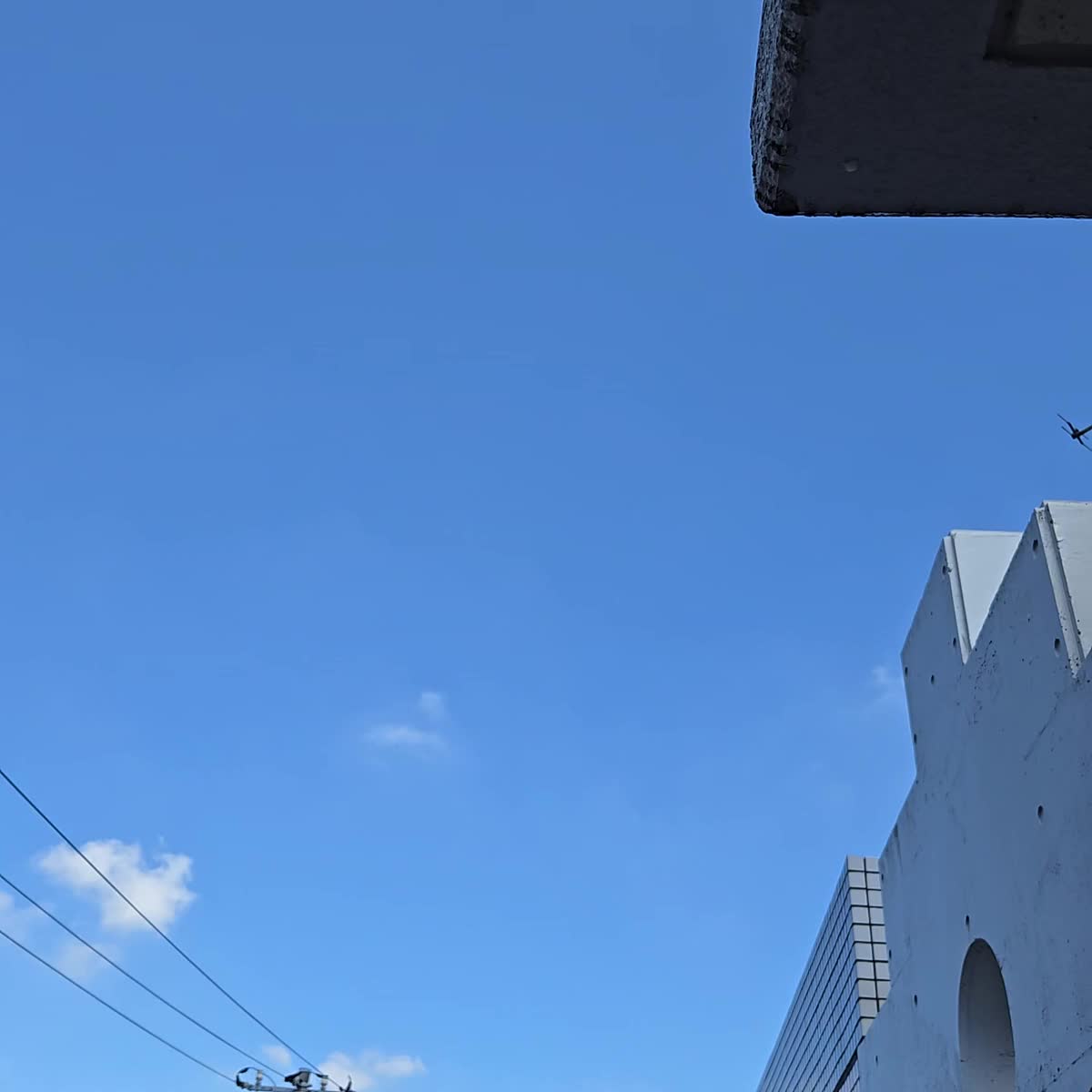 オフ日～🌟