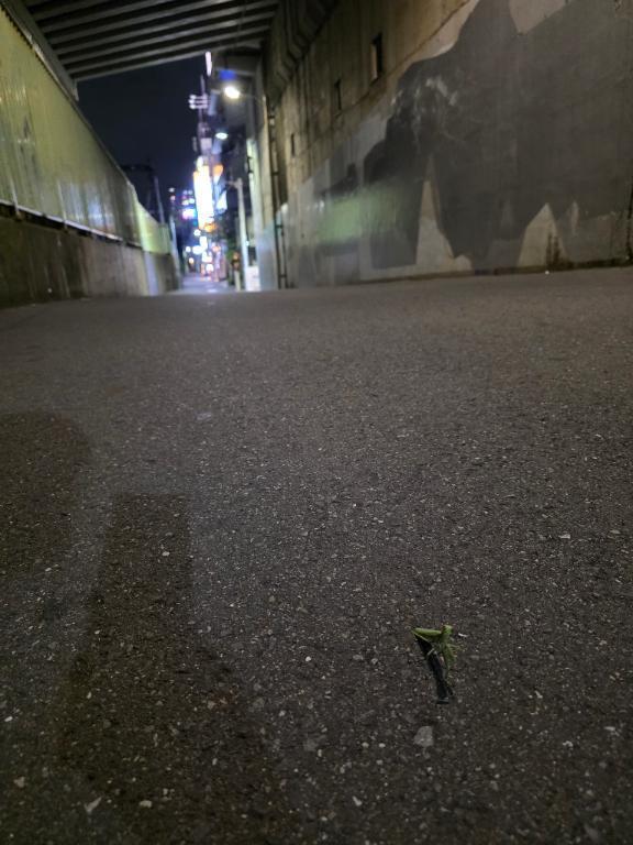 ありがとうございます！｜写メ日記｜百瀬（ももせ）｜鶯谷 人妻デリヘル 素人妻専門店　ミセス・グランデ