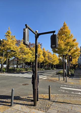 出勤しております♪