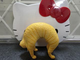 出勤いたしました♪