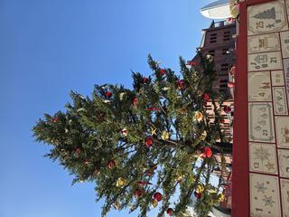☆彡｜写メ日記｜百瀬（ももせ）｜鶯谷 人妻デリヘル 素人妻専門店　ミセス・グランデ