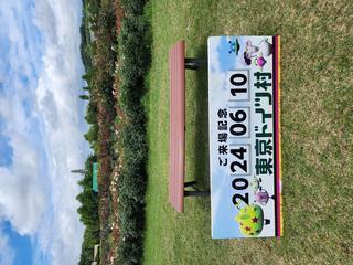 出勤しました♪｜写メ日記｜百瀬（ももせ）｜鶯谷 人妻デリヘル 素人妻専門店　ミセス・グランデ