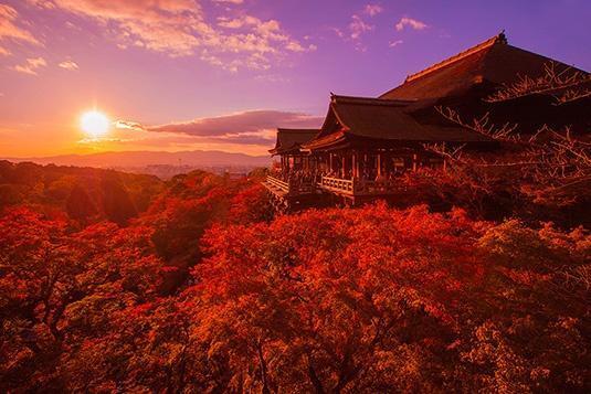 出勤します👾｜写メ日記｜愛原（あいはら）｜鶯谷 人妻デリヘル 素人妻専門店　ミセス・グランデ