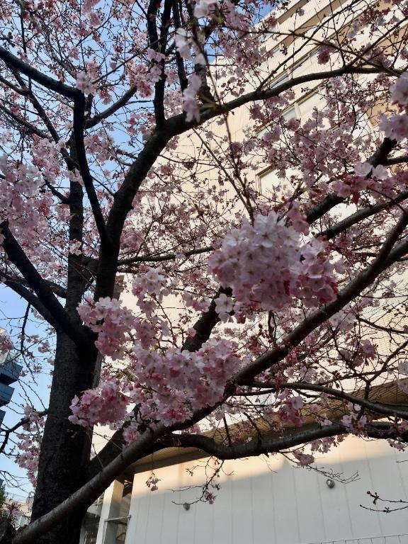 ありがとうございました