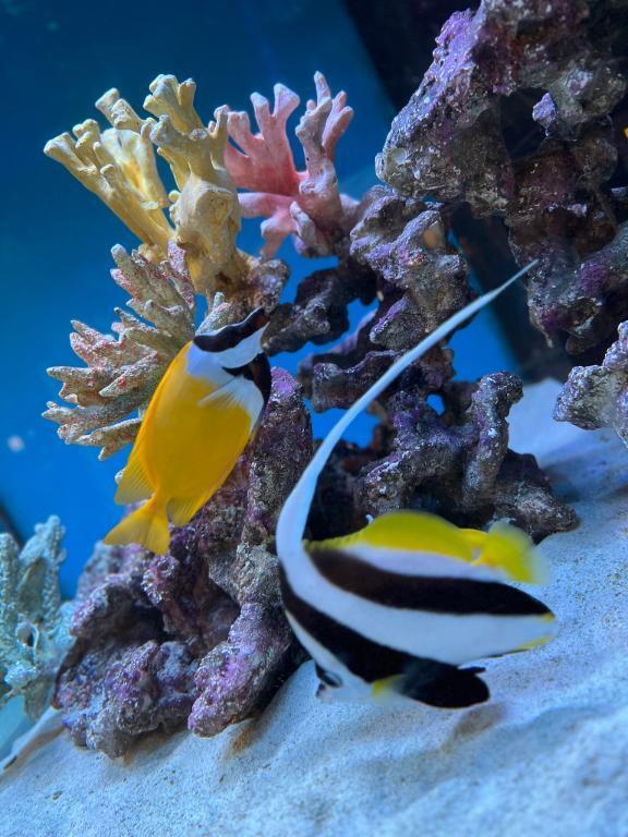 今週の出勤｜写メ日記｜桜井（さくらい）｜鶯谷 人妻デリヘル 素人妻専門店　ミセス・グランデ